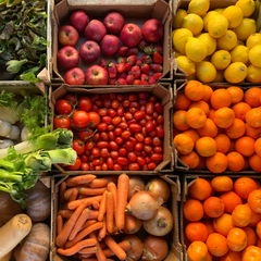 Collection image for: Fresh Product