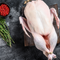 Whole & Bone-In Duck Products