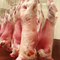 Goat Carcasses with Cuts