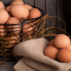 Collection image for: Eggs