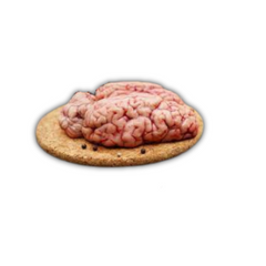 Collection image for: Lamb & Mutton Offal's