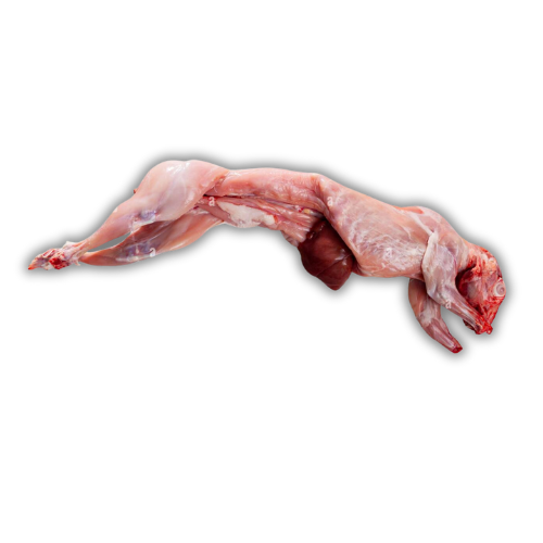 Rabbit whole (1.2kg - 1.4kg) - Head on