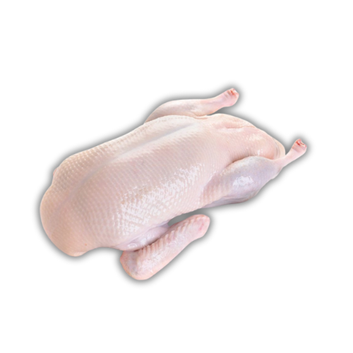 Fresh Whole Duck - 1.9-2.3KG